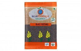 Blue Orange Organics Black Mustard   Pack  100 grams